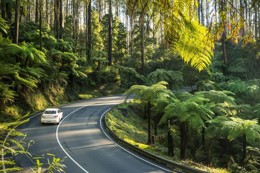 Lithgow Falls Marysville Exterior photo